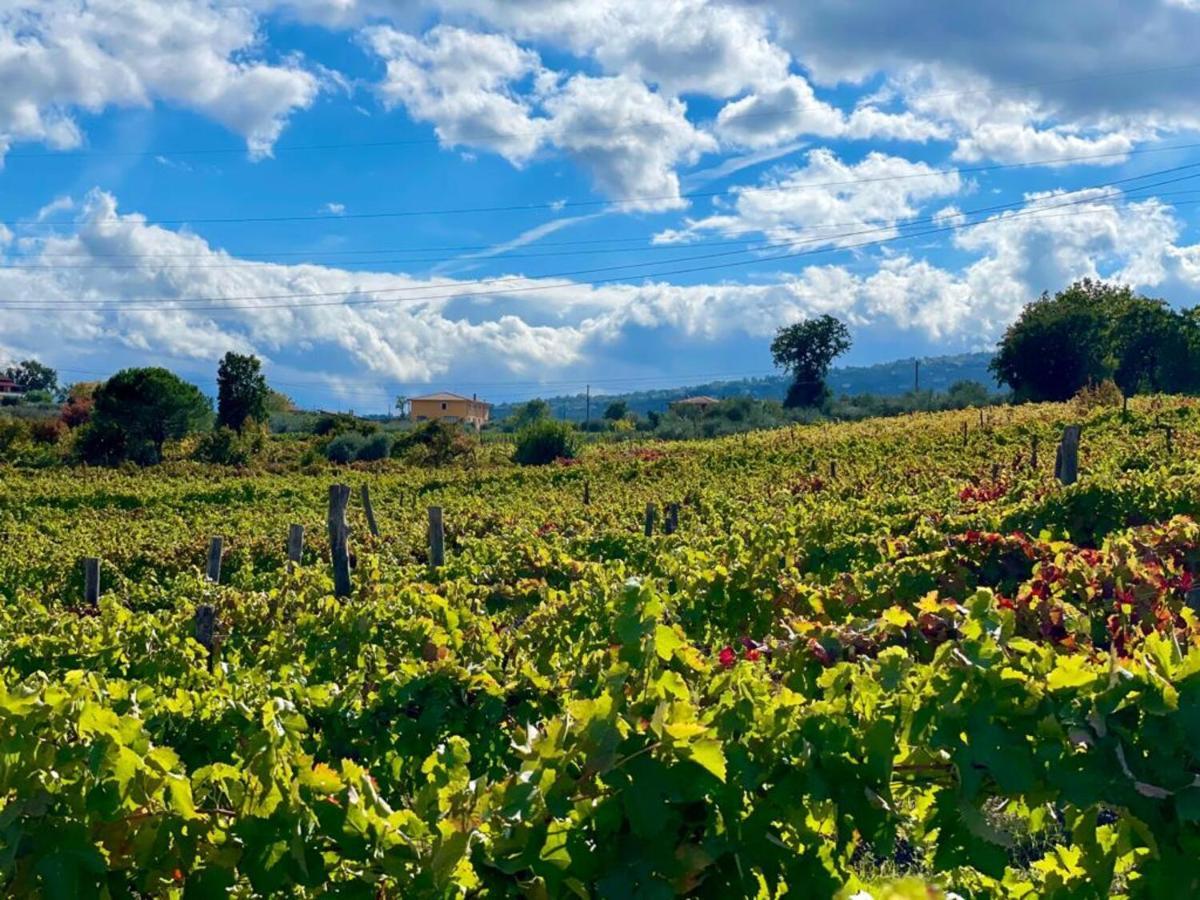 Agriturismo Le Masciare Paternopoli Экстерьер фото